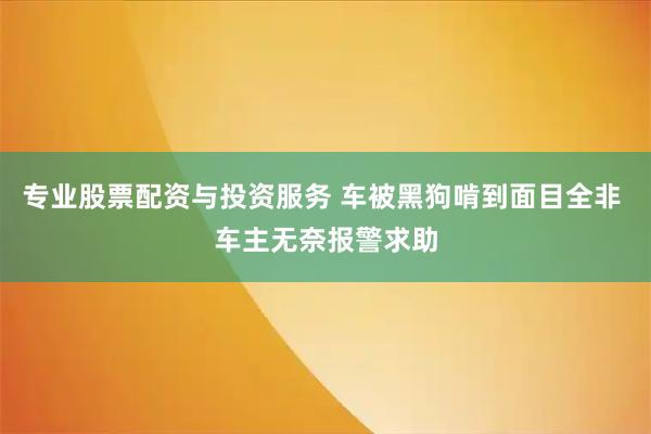 专业股票配资与投资服务 车被黑狗啃到面目全非 车主无奈报警求助