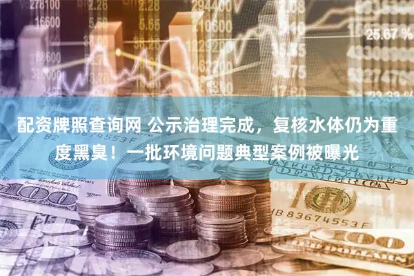 配资牌照查询网 公示治理完成，复核水体仍为重度黑臭！一批环境问题典型案例被曝光